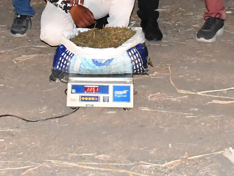 नांदेड LCBची मोठी कारवाई; 2.25 किलो गांजासह आरोपी जेरबंद