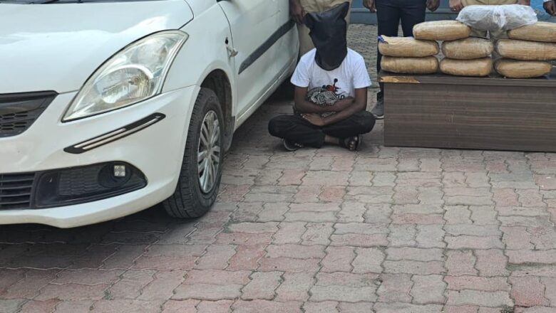 नांदेड ग्रामीण पोलिसांची मोठी कारवाई; १३.४० लाखांचा गांजा जप्त, १७ जणांविरुद्ध गुन्हा