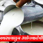 दुग्धव्यवसायात निर्माण होणार उद्योजकतेच्या अनेक संधी ; ‘मुख्यमंत्री ग्रामीण पशुधन उद्योजकता योजना