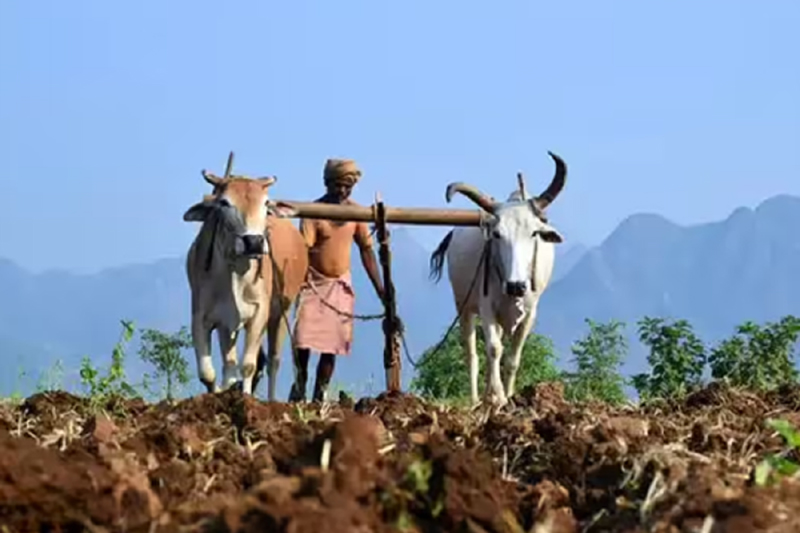 नांदेड पिक विमा योजनेअंतर्गत ८१३.९३ कोटींची नुकसानभरपाई; शेतकऱ्यांच्या खात्यात जमा होण्यास सुरुवात