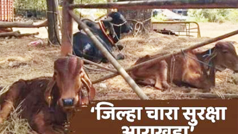 एल-निनोच्या पार्श्वभूमीवर नांदेड जिल्ह्यात विशेष चारा सुरक्षा आराखडा
