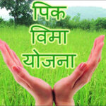 प्रधानमंत्री पीक विमा योजनेअंतर्गत सोयाबीन पिकासाठी ८८४.७२ कोटींची नुकसानभरपाई मंजूर ; ४९९.६० कोटी वितरित