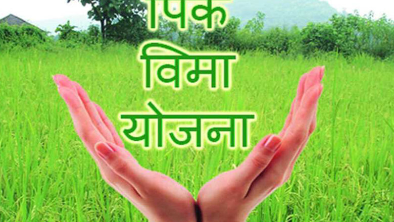 प्रधानमंत्री पीक विमा योजनेअंतर्गत सोयाबीन पिकासाठी ८८४.७२ कोटींची नुकसानभरपाई मंजूर ; ४९९.६० कोटी वितरित