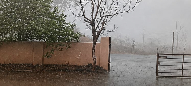पेठवडज येथे वादळी वाऱ्यासह गारपीट : फळ पिकांचे प्रचंड नुकसान.!