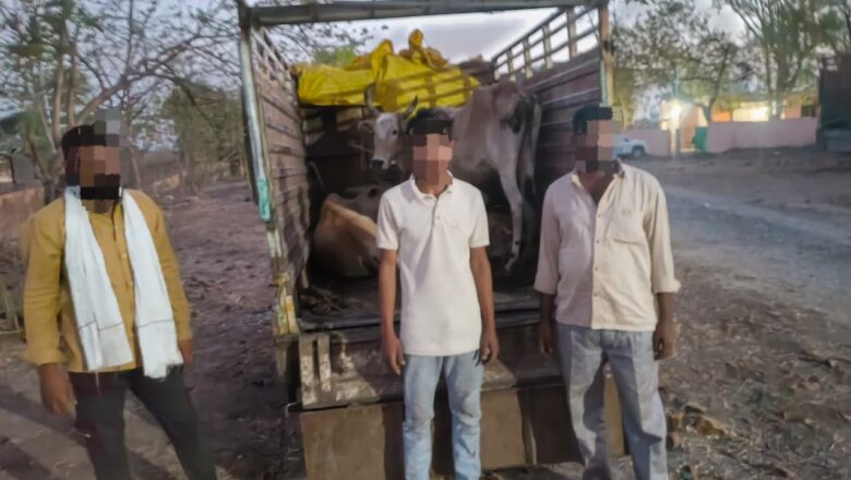 ऑपरेशन क्रॅकडाऊन : अवैध जनावर वाहतुकीवर पोलिसांचा मोठा प्रहार; ११.२६ लाखांचा मुद्देमाल जप्त
