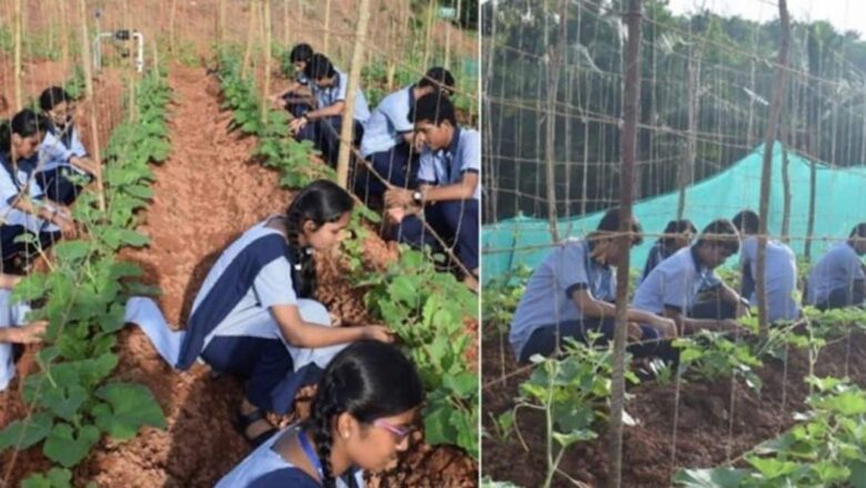 कृषि तंत्र पदविका अभ्यासक्रम ग्रामीण-शहरी भागातील विद्यार्थ्यांसाठी सुवर्ण संधी