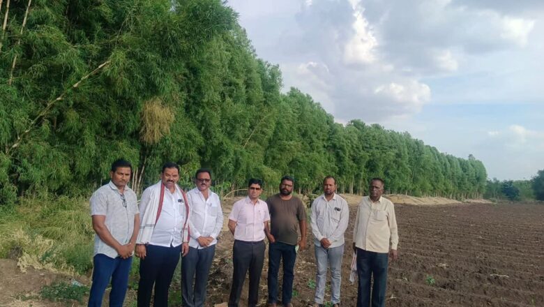 जलसंधारणातून आर्थिक समृद्धीकडे; लोह्यातील शेतकऱ्याच्या ‘बांबू बेटा’ची जिल्हाधिकाऱ्यांकडून पाहणी