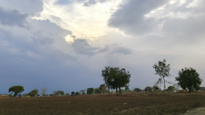 मृग नक्षत्र सुरू, तरीही पावसाची प्रतीक्षा कायम; हिमायतनगर तालुक्यात शेतकरी चिंतेत