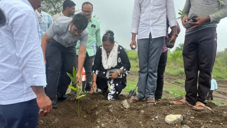 नांदेडमध्ये १ लाख बांबू लागवड मोहिमेला प्रारंभ; जिल्हाधिकारी राहुल कर्डीले यांच्या हस्ते शुभारंभ