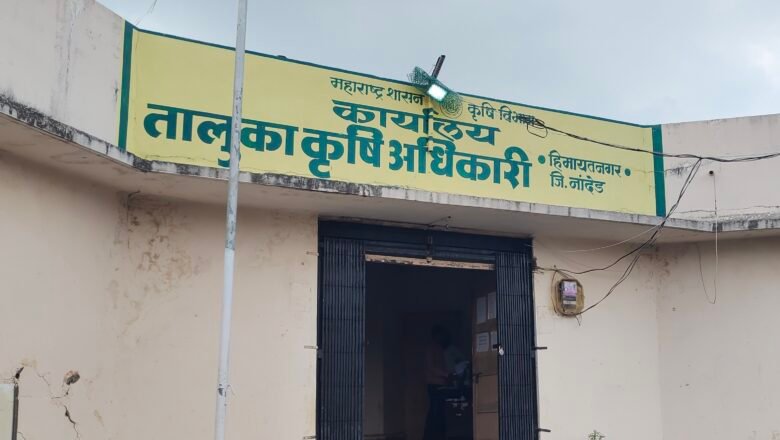 पावसाने फिरवली पाठ; हिमायतनगरात खरीप धोक्यात, कृषी विभागाच्या भूमिकेवरही शेतकऱ्यांचा संताप