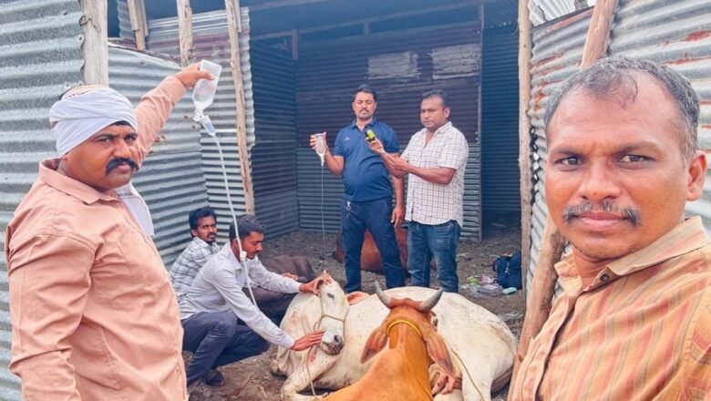 कर्तव्यतत्पर पशुवैद्यकीय सेवेला सलाम!