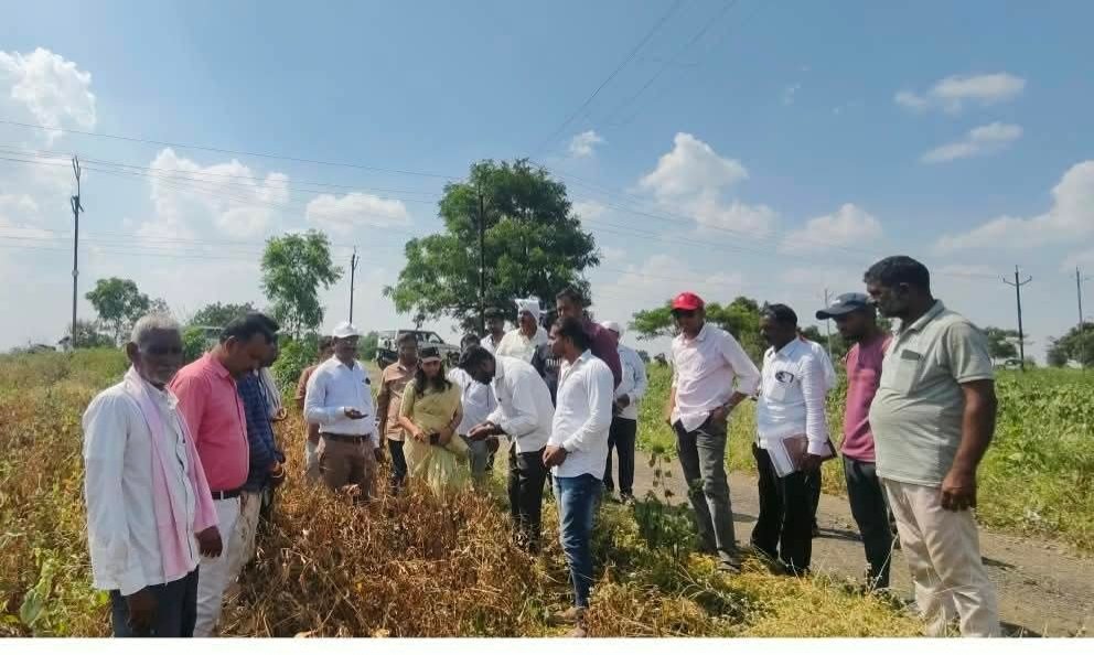 दुष्काळाच्या झळा; तहसीलदारांसह अधिकाऱ्यांनी शेतशिवारात जाऊन केली पाहणी